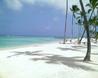 Paquete Punta Cana 